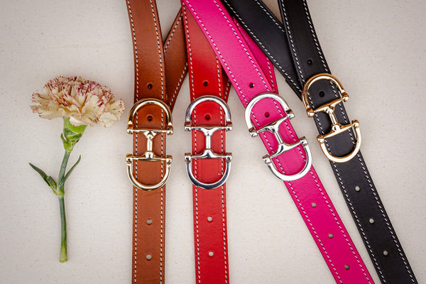 Ceintures Cavalière